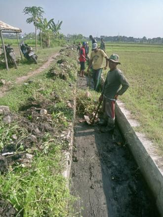 GIAT ANGKAT WALET KELOMPOK TANI COMBONGAN