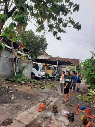 FPRB RESPON CEPAT POHON TUMBANG AKIBAT HUJAN DERAS