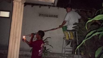 OTT SARANG TAWON DI RUMAH BAPAK NGADI JLAMPRANG LOR RT 05