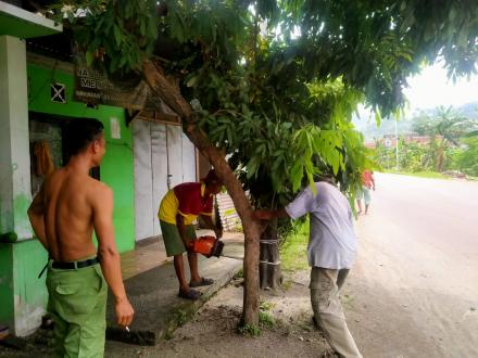 FPRB RESPON PANGKAS POHON RAMBUTAN PINGGIR JALAN