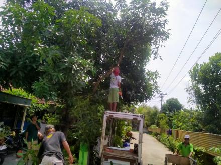 FPRB GIAT POTON DAHAN POTENSI GANGGU LALULINTAS